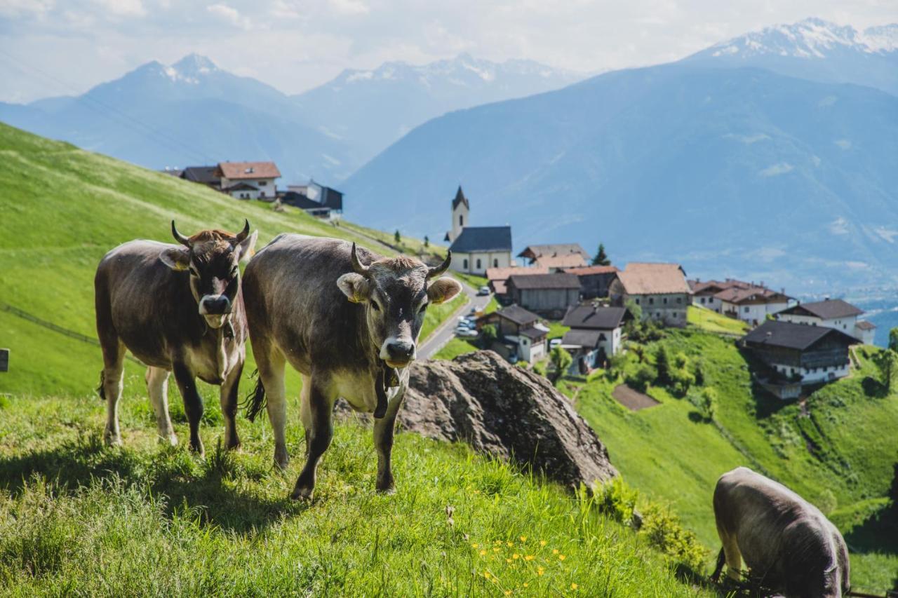 Ferienwohnungen Wiesbauer Schenna Exterior foto