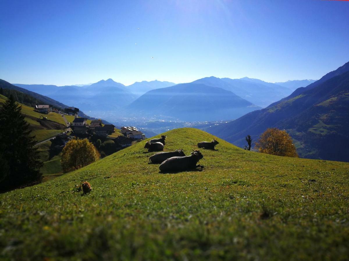 Ferienwohnungen Wiesbauer Schenna Exterior foto